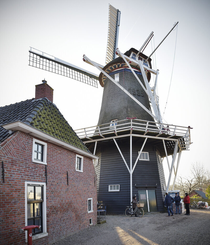 Koren- en pelmolen Ceres