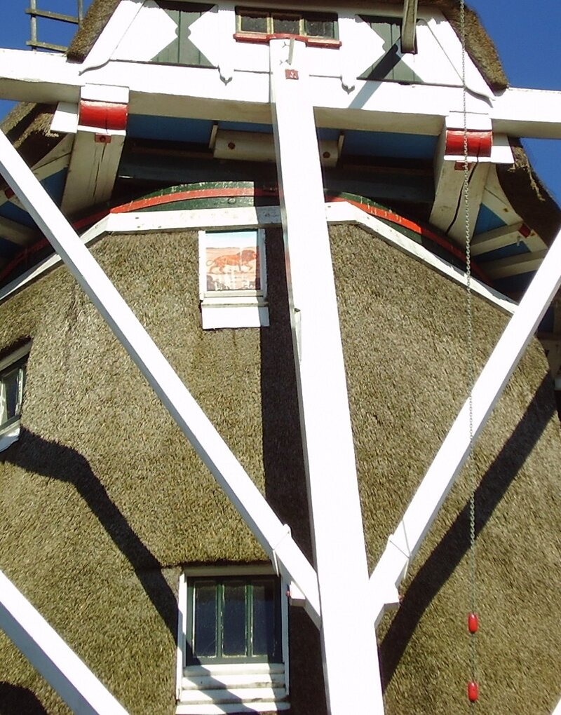 Koren- en pelmolen De Leeuw